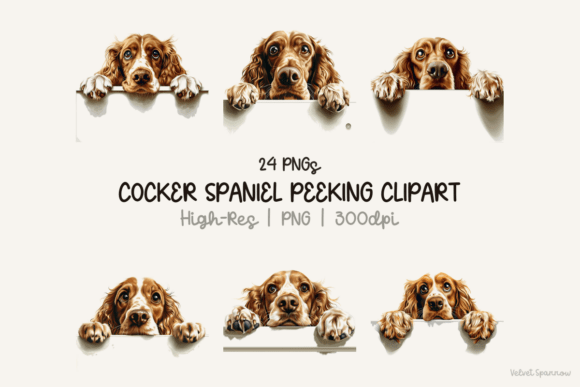 Download Cocker Spaniel Peeking Clipart 24 Png - Premium Bundle