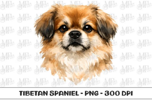 Download Tibetan Spaniel Watercolor Portrait PNG - Premium Resources
